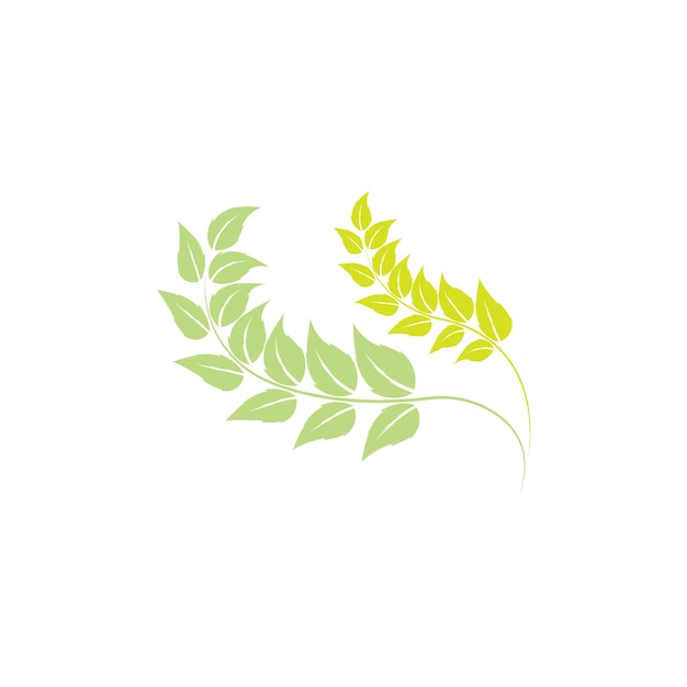 Öko-Symbol grüner Blattvektor