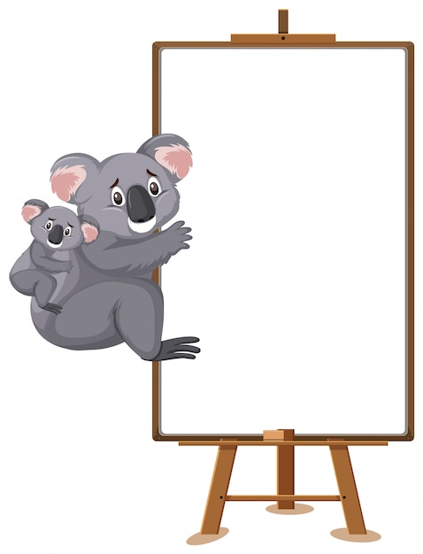 Koalas-zeichentrickfigur und leeres banner auf weißem hintergrund