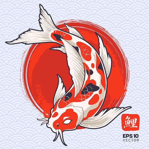 Koi Fisch auf gemaltem rotem Kreis. Japanischer Karpfen.