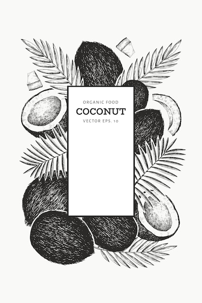 Kokosnuss mit palmblättern. hand gezeichnetes essen. exotische pflanze im gravierten stil. retro botanischer tropischer hintergrund.