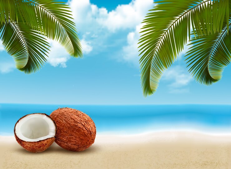 Kokosnuss mit Palmblättern. Sommerferienszene.