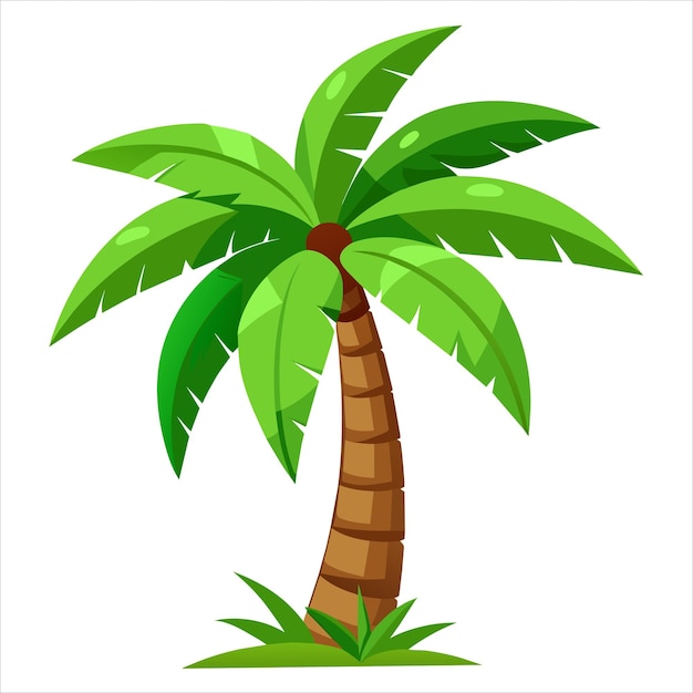 Kokosnussbaum
