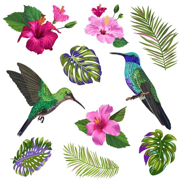 Kolibri, hibiskus-blumen und tropische palmblätter