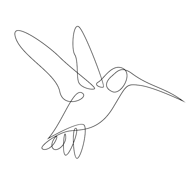 Vektor kolibri-linienillustration