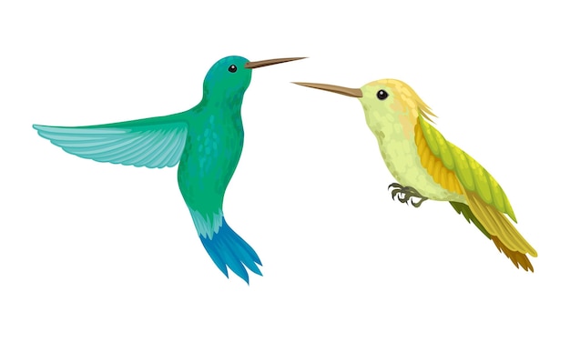 Kolibri oder Kolibri mit schlagenden Flügeln und leuchtendem Gefiedervektor