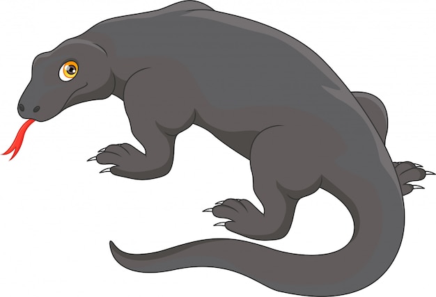 Komodo drache