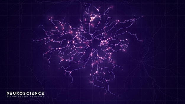 Komplexes Modell des Neuronensystems Struktur des neuronalen Netzes Erforschung des menschlichen Nervennetzwerks Digitaler künstlicher Organismus Datenanalyse menschlicher Gehirnzellen