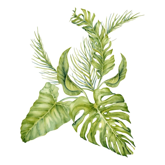 Vektor komposition aus tropischen blättern mit monstera- und palmblättern sommer aquarell-illustrationen