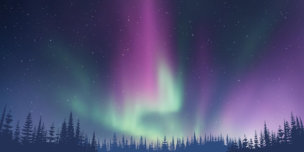 Vektor kontur von bäumen vor dem hintergrund der aurora borealis winterillustration