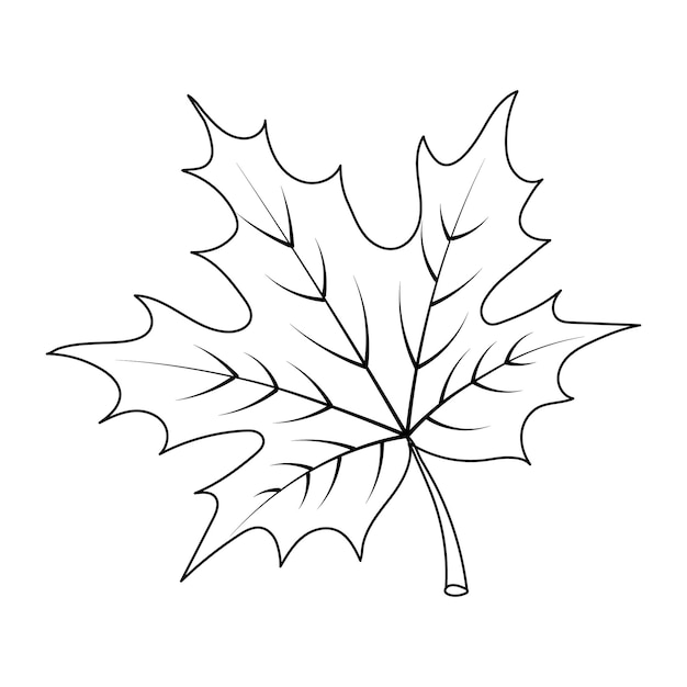 Konturahornblatt, Skizze auf einem weißen Hintergrund. Herbstdruck, Illustration, Vektor