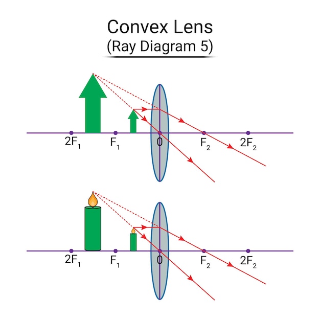 Vektor konvexlinsenstrahldiagramm 5