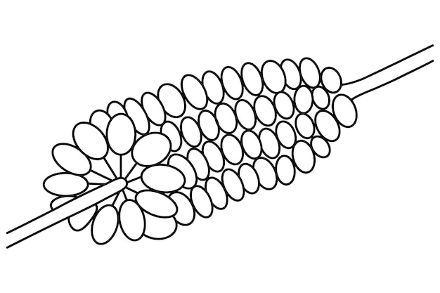 Kornähre im doodle-stil. saftige körner am stiel. nützliches gemüse. saisonales bio-produkt