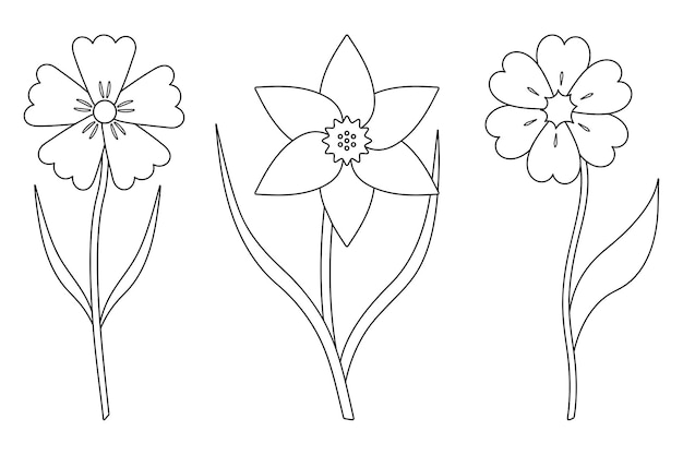 Kornblumen-narzissenset mit süßen blumenskizzen mit blättern im doodle-stil