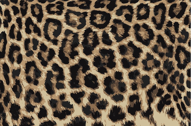 Vektor kostenlose foto-leoparden-textur