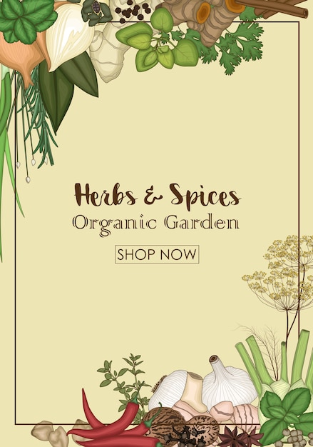 Kräuter und Gewürze Bio-Garten-Shop-Banner