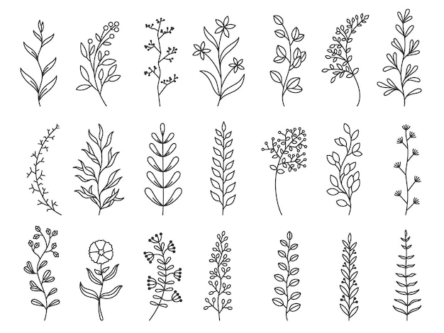 Vektor kräuterkunst doodle botanische dekorationselemente für tätowierungseinladungen und grußkarten linienskizze von waldzweigen vektor minimale handgezeichnete wildblumen