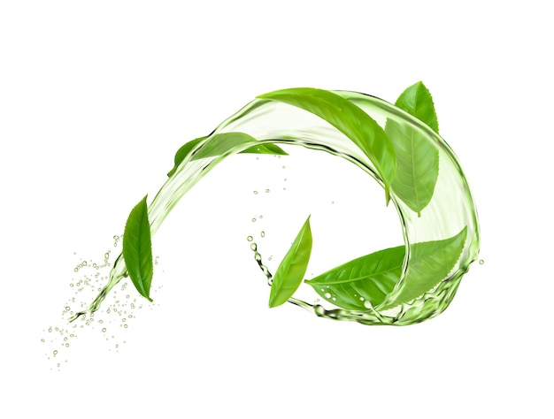 Kräutertee runder Strudelspritzer mit grünen Blättern und Wasserfluss Vektor-Bio-Getränk mit Spritzern 3D-Anzeige mit realistischem Laubfall in Aqua Frisches pflanzliches natürliches Aromagetränk