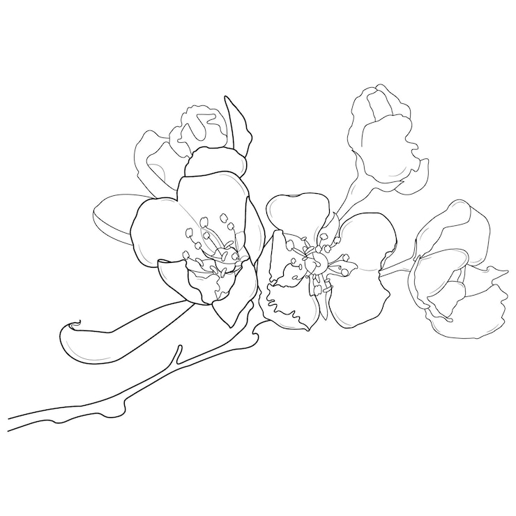 Kreative florale handgezeichnete Blumenlinie Kunstdesign