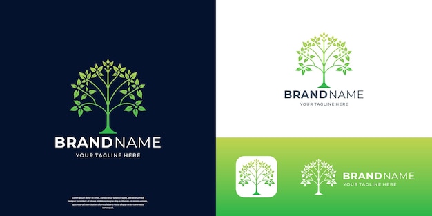 kreativer Lebensbaum Logo Inspiration Natur Pflanze Baum Symbol Element