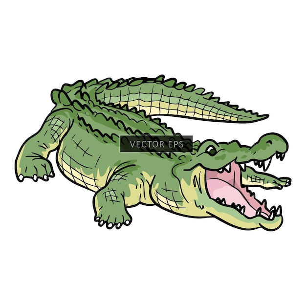 Krokodil-alligator-wildtierer-vektor-illustration