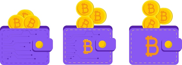 Kryptowährungs-Wallet, flache Vektordarstellung. Digitale Geldbörse mit Bitcoin- und Ethereum-Münzen