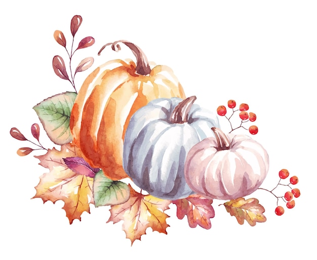 Kürbis-Aquarell-Clipart