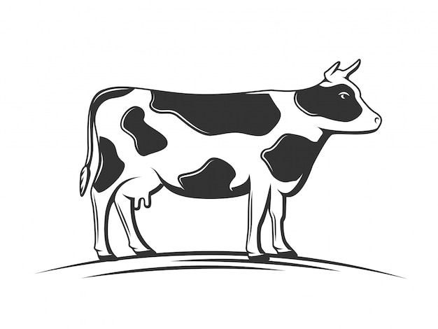 Kuhschattenbild isolierte illustration