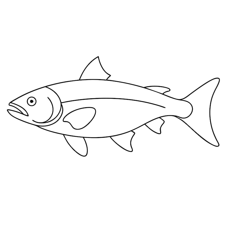 Vektor lachs-fisch kontinuierliche eine linie kunst zeichnung vektor-illustration malseite