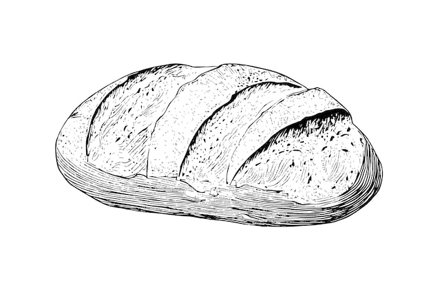 Vektor laib brot vektor handgezeichnete vintage-gravur-stil-vektorillustration