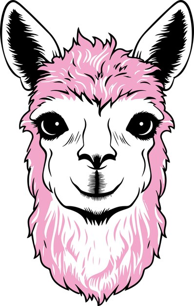 Vektor lama-alpaka-logo mit kopf vektorillustration