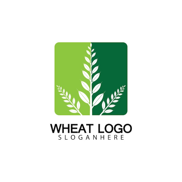 Landwirtschaft weizen logo vorlage vektor icon design