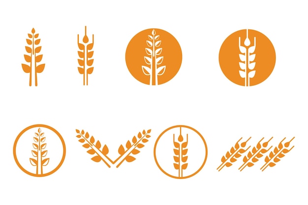 Landwirtschaft weizen vektor icon design