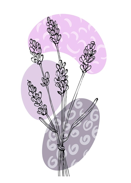 Lavendel handgemalte Illustrationen für die Wanddekoration minimalistische Blume im Skizzenstil