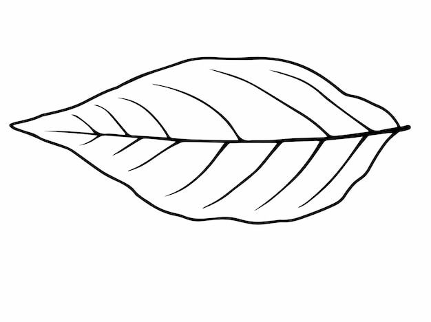 Vektor leaves line art illustration (linienkunst der blätter)