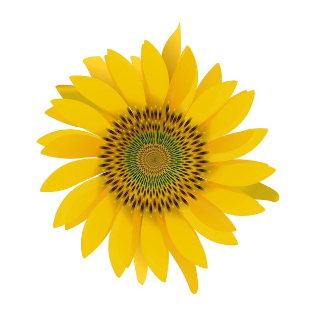 Lebendige Sonnenblume auf Nahaufnahme