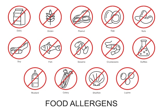 Vektor lebensmittelallergene satz grundlegender allergensymbole vektorillustration