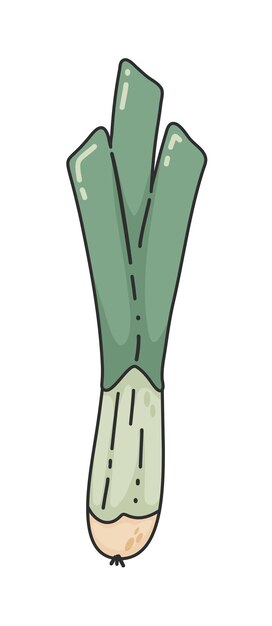 Leek handgezeichnete texturillustration grüne leek öko-pflanze vektor doodle-stil cartoon-illustration