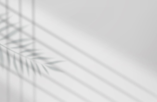 Leerer Studio-Abstrakt-Hintergrund
