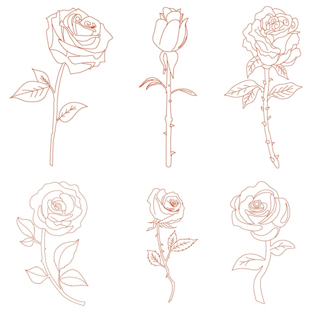 Legen sie artwork vector rose line art illustration