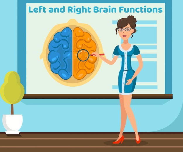 Vektor lehrer, der brain function illustration erklärt