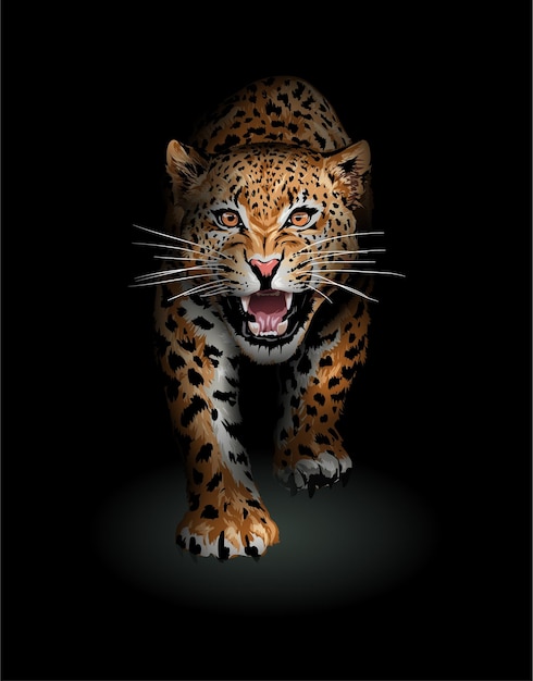 leopard, der in schattenillustration geht