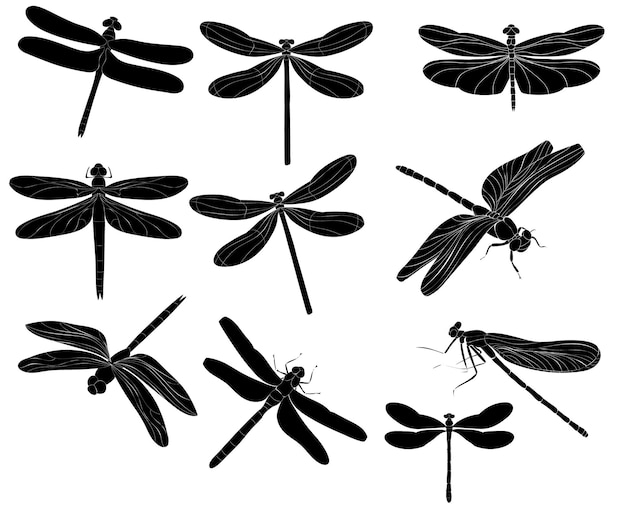 Libelle fliegt Insektenset von Silhouetten