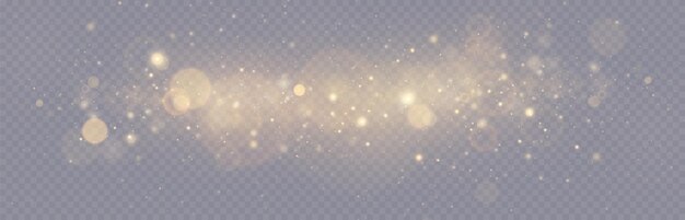 Lichteffekt. Hintergrund von funkelnden Partikeln. Glitzernde Elemente auf transparentem Hintergrund
