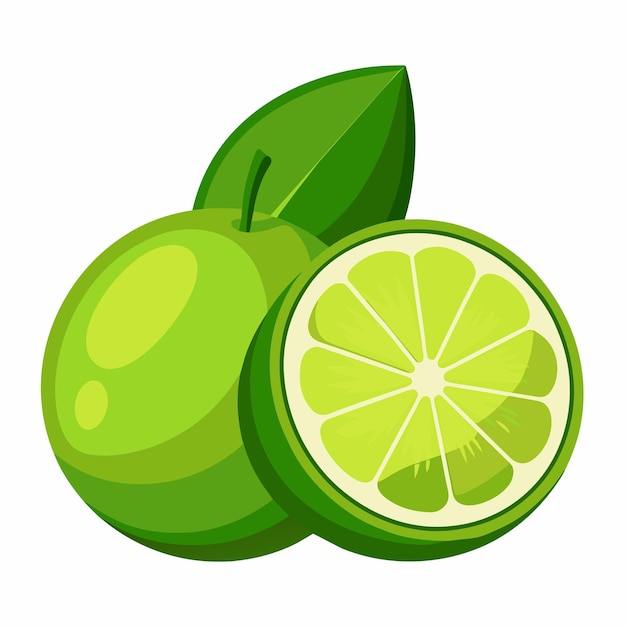 Lime-Vektorkunst-Illustration 6