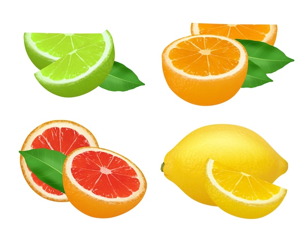 Limette zitrone grapefruits und orange natürliche gesunde früchte lebensmittel realistisches bild.