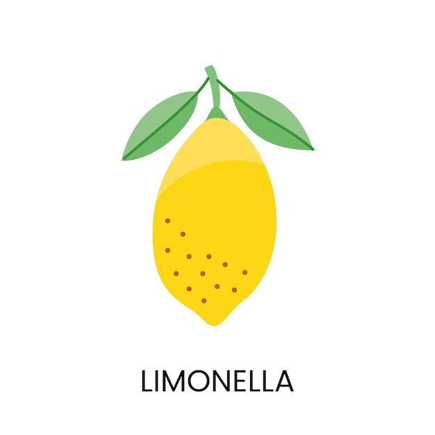 Limonella-vektorillustration, die saftigkeit und lebendige farben vermittelt ideal für frische und lebhafte designs