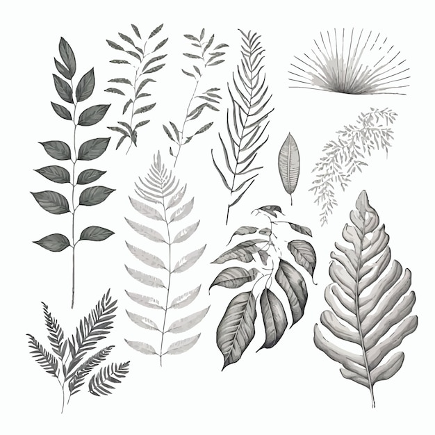 Line art botanische und tropische blätter setzen sammlung von palmblatt-eukalyptuszweigen und farn in handgezeichneter skizze handgezeichnete illustration isoliert auf weißem hintergrund