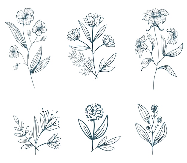 Linie Kunstblumen pflanzen Blumenblätter lokalisiertes Konzept stellte flache Grafikdesignillustration ein