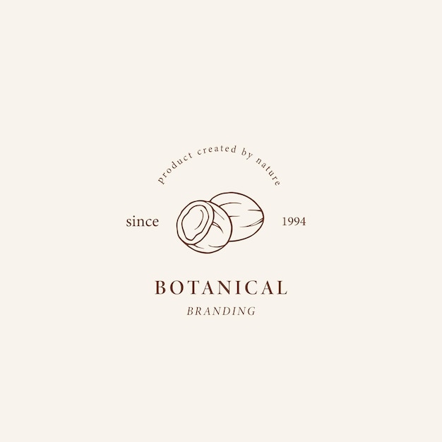 Linienkunst-kokosnuss-illustration. botanisches logo