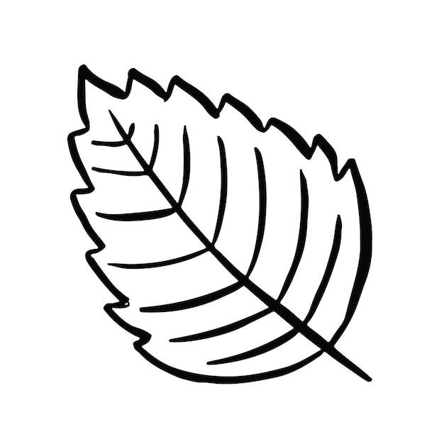 Linienvektor herbstlaub symbol logo schwarz